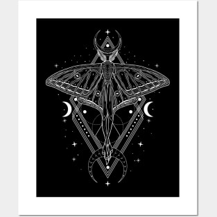 Spanish Luna Moth - Graellsia isabellae Posters and Art